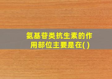 氨基苷类抗生素的作用部位主要是在( )